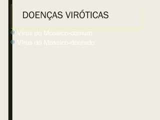 DOENÇAS VIRÓTICAS
 Vírus do Mosaico-comum
 Vírus do Mosaico-dourado
 