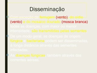  Com exceção da ferrugem (vento), do oídio
(vento) e do mosaico dourado (mosca branca)
todas as doenças, com maior ou menor
intensidade, são transmitidas pelas sementes.
 De um modo geral, as doenças de origem
fúngica e bacteriana podem ser disseminadas,
à longa distância através das sementes
infectadas;
 As doenças fúngicas, também através das
correntes aéreas.
Disseminação
 