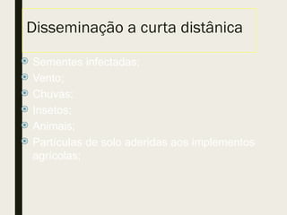 Disseminação a curta distânica
 Sementes infectadas;
 Vento;
 Chuvas;
 Insetos;
 Animais;
 Partículas de solo aderidas aos implementos
agrícolas;
 