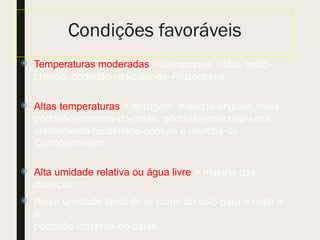 Condições favoráveis
 Temperaturas moderadas = antracnose, oídio, mofo-
branco, podridão-radicular-de-Rhizoctonia;
 Altas temperaturas = ferrugem, mancha-angular, mela,
podridão-cinzenta-do-caule, podridão-radicular-seca,
crestamento-bacteriano-comum e murcha-de-
Curtobacterium;
 Alta umidade relativa ou água livre = maioria das
doenças;
 Baixa umidade tanto do ar como do solo para o oídio e
a
podridão cinzenta-do-caule.
 