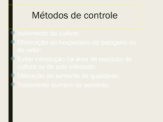 Métodos de controle
 Isolamento da cultura;
 Eliminação do hospedeiro do patógeno ou
do vetor;
 Evitar introdução na área de resíduos de
cultura ou de solo infectado;
 Utilização de semente de qualidade;
 Tratamento químico da semente;
 