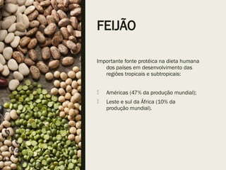 FEIJÃO
Importante fonte protéica na dieta humana
dos países em desenvolvimento das
regiões tropicais e subtropicais:
 Américas (47% da produção mundial);
 Leste e sul da África (10% da
produção mundial).
 