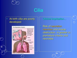 Cilia
• At birth cilia are poorly
developed
Clinical implication...
• Risk of secretion
retention and airway
obstruction is greater in
premature infants and
neonates
 