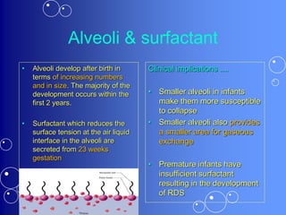 Alveoli & surfactant
• Alveoli develop after birth in
terms of increasing numbers
and in size. The majority of the
development occurs within the
first 2 years.
• Surfactant which reduces the
surface tension at the air liquid
interface in the alveoli are
secreted from 23 weeks
gestation
Clinical implications ....
• Smaller alveoli in infants
make them more susceptible
to collapse
• Smaller alveoli also provides
a smaller area for gaseous
exchange
• Premature infants have
insufficient surfactant
resulting in the development
of RDS
 