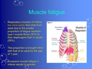 Muscle fatigue
• Respiratory muscles of infants
tire more easily than that of an
adult due to the smaller
proportion of fatigue resistant
type I muscle fibres (30%) in
their diaphragms than in adults
(55%).
• This proportion is brought inline
with that of an adult by the age
of 1 year.
• Excessive muscle fatigue in
infants results in apnoea.
 