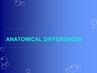 ANATOMICAL DIFFERENCES
 