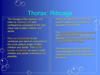 Thorax: Ribcage
• The ribcage of the newborn and
infant is relatively soft and
cartilaginous compared to the rigid
chest wall of older children and
adults
• Ribs run horizontally to the
vertebrae and sternum compared to
the more oblique angle of older
children and adults. The bucket
handle movement as seen in older
children and adults is therefore not
possible.
• Infant can therefore increase the
anterior-posterior or transverse
diameter of their chest
• The intercostal muscles are inactive
and poorly developed in infancy.
And the abdominal muscles are not
yet stabilising the ribcage
• The interaction of gravity and the
musculoskeletal system play an
important role in the development of
the thorax.
 
