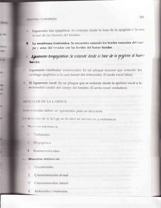 101
Co¡*rpnn¡nn
Ligamentotiro epigtótico:Seextiendedesdela basede la epiglotisa la cara
-:rsal
de lorsláminas tjerltiroiries.
S La memtrrana tirohioidea: Seennrr:ntra uniendn los borclescraneaiesdel cuei
pro,,'astasclel tlrtirles {:on los b*ndes eielhueso hioides'
I,,SamentohloVt¿)orira",furufirnfudr,rfu*¡ basefu )nyyhttis aIhuest
üm¡des.
Ligamento vestübular:(ventricular):Es un pliegue rnucclsoqtre extiendedel
cartílagoepiglóticoa la caralateraldel aritenoides.(Cuerdavocal falsa).
E ligamentovocal:Es un pliegueque seextiendedesdela apófisisvocala la
atremidad caudaldel cuerperdel tiroides.(Cuerdavocal verdadera).
LLOS DTJLA LAII.INCE
* Lrsculosdeb*n ;el aprcnclidospero no dls*rca<$os"
@*> ¿iosd€ Ia larrirge se elrroidenen rntnnssJ,lor;y extrínsecos.
llh[r*-* 'tos extrinsec$s
T:rohioideo
F{ "i.r8iotico
t Esiernotírsrlu+ideo
llrilscuios intrinseeos
i Cricotiroideo
2. Cricoaritenoitieo dorsal
3 Criccaritenqlide$Iateral
4 Ariten()idtr{:}transverso
 
