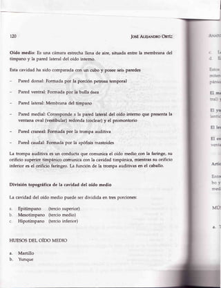 120 JosÉALe¡nNDRoOnrfz
Oído medio: Es una cámaraestrechallena de aire, sifuadaentre la membranadel
tímpano y la pared lateral del oído interno.
Estacavidad ha sido comparadacon un cubo y poseeseisparedes
- Pared dorsal:Formadapor la porción petrosatemporal
Paredventral: Formadapor la bulla ósea
- Paredlateral:Membranadel tímpano
Paredmedial: Correspondea la pared lateral del oído interno que presentala
ventanaoval (vestibular)redonda(coclear)y el promontorio
Paredcraneal:Formadapor la trompa auditiva
Paredcaudal:Formadapor la apófisismastoides
La trompa auditiva es un conductaque comunicael oído medio,,conla faringe, su
orificio superior timpánico comunicacon la cavidad timpánica,mientrassu orificio
inferior es el orificio faríngeo.La función de la trompa auditivas en el caballo.
División topográficade la cavidaddel oído medio
La cavidaddel oído medio puedeserdividida en tresporciones:
Epitímpano (terciosuperior)
Mesotímpano (terciomedio)
Hipotímpano (tercioinferior)
HUESOSDEL OÍDO MEDIO
a. Martillo
b. Yunque
!
-
i-l
:F,
!..-:: JS
=.-:91
-:-..v
El m¡
::1- 
Ei ¡r
:-F-
El leI
El es
. =- -.!
Artic
E::,tn
l.t Y
=.eci
{-r*
a. 'l
a.
b.
c.
 