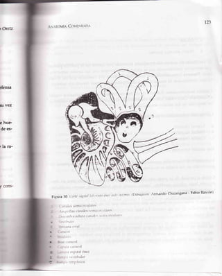 ¡M¿
gfunsa
tu vez
e hue'
de es-
¡ la ra-
FCons-
r23
ir rrovÍe CovlP¡lnnn"l
Fiqura 30 (-0rfc s/t{¡¡¿¡1/,tl,,ririlrrósctrrrl¡itrtttlrrtt¡t (Dibu¡arctnArmando ChiCangana Fabio Rincón)
. .: ¡le-ssr:mit:ircttl¡res
,.:-l'i.llas clrrtalt's slrtlt't rl'ttiarcs
,,.'rnh r¡c'¿tciur¿t c¿t¡¿)t' ¡
"t'
¡l¡¡t tr( tI);t rts
-:
-¡tlltl
.: :a,na<lVal
-.
-- -^lrill
rilh l
liil
I|I ;
 