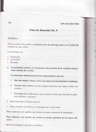 130
ENCEFALO
Para el estudio del encéfaloes
encéfalo de cada cabeza.
Las meninges son:
a. Duramadre
b. Aracnoides
c, Piamadre
JosÉAr-E¡eNDRoOnrfz
Guía de disecciónNo. 9
necesariosacar las meninges junto con la mitad del
a' La duramadrecerebral,esconsideradacomo periostiode la cavidadcraneal
como cubiertadel encéfalo.
La duramadre cerebrarpresentatresengrosamientos,que son:
1.
2.
Hoz del cerebro,tabiquemedio que separalos dos hemisferioscerebrales.
Tentorio del cerebelo(tienda)pliegue transversoque separacerebrode
cerebelo.
3' Diafragma de la silla turca, engrosamiento ventral que envuelve la glán-
dula hipófisis o pituitaria.
b. Seno transverso (incluido tentorio)
c. seno cavemoso (incluido en el diafragma de la silla turca).
Venas emisorias, son aquellas que drenan los senos venosos de la duramadre.
Venasdiploicas, son aquellasque drenan la porción esponjosade los huesosdel
cráneo.
Quite las meningesy procedaa identificar:
 