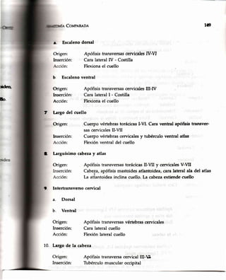 Cottlpnnno¡
a Escalenodorsal
Origen:
Inserción:
a. Dorsal
b. Ventral
Origen:
Inserción:
10. Largo de la cabeza
ApófisistransversascervicalesIV-VI
CaralateralIV - Costilla
Flexionael cuello
Apófisis transversasvértebrascervicales
Cara lateral cuello
Flexión lateralcuello
Apófisis transversacervicalIII-¿L
Tubérculomuscularoccipital
t0
*feo,
b Escaleno ventral
Origen: Apófisis transversascervicalesIII-IV
Inserción: Cara lateral I - Costilla
Acción: Flexionael cuello
m l¿rgo del cuello
Origen:
lnserción:
t larguísimo cabezay atlas
Origen:
9 Intertransversocervical
b.
Cuerpo vértebrastorácicasI-VI. Cara ventral apófisis transver-
sascervicalesII-V[
Cuerpo vértebrascervicalesy tubérculo ventral atlas
Flexión ventral del cuello
Apófisis transversastorácicasII-VII y cervicalesV-VII
Cabeza,apófisismastoidesatlantoidea,caÍalateral ala del atlas
La atlantoideainclina cuello.La cabezaextiendecuello
Inserción:
 
