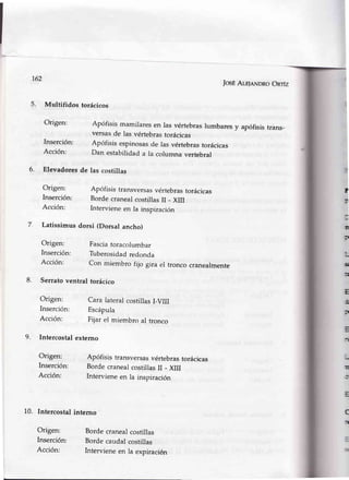 162
5. Multifidos torácicos
Origen:
Inserción:
Acción:
Origen:
Inserción:
Acción:
Latissimus
Origen:
Inserción:
Acción:
Origen:
Inserción:
Acción;
10. Intercostalinterno
Origen:
Inserción:
Acción:
fosÉAr-e¡eNDRoOnrfz
y apófisistráns-
6. Elevadoresde las costillas
Apófisis transversas vértebras torácicas
Borde cranealcostillas II - Xm
Interviene en la inspiración
dorsi (Dorsal ancho)
Fasciatoracolumbar
Tüberosidadredonda
Con miembro fijo gira el tronco cranealmente
Serratoventral torácico
Origen: CaralateralcostillasI-VIII
Inserción: Escápula
Acción: Fijarel miembroal tronco
9. Intercostalexterno
Apófisismamilaresen lasvértebraslumbares
versasde las vértebrastorácicas
Apófisis espinosasde las vértebrastorácicas
Dan estabilidada la columnavertebral
Apófisistransversasvértebrastorácicas
BordecranealcostillasII - XIil
Intervieneen la inspiración
Bordecranealcostillas
Bordecaudalcostillas
Intervieneen la expiración
8.
?
il
:¡
ü
:¡
IM
3
c
.n
E
¡
f
 
