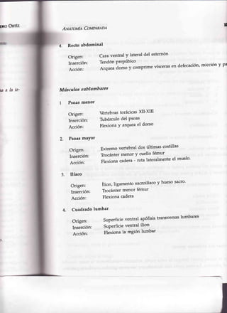 rno oRrfz
úaIaiz'
{
A¡utrouf'e Cour¡n¡o¡
4. Rectoabdominal
Origen:
Inserción:
Acción:
Músculossublumbares
Psoasmenor
Origen:
Inserción:
Acción:
Origen:
Inserción:
Acción:
Origen:
Inserción:
Acción:
Cara ventral y lateral del esternón
Tendón PrePúbico
Arquea dorso y comprime víscerasen defecación'micción y pa
VértebrastorácicasXII-XII
Tubérculodel Psoas
Flexiona Y atqueael dorso
2.
3.
Psoaemayor
Origen: Extremovertebraldos últimas costillas
InsJrción: Trocántermenor y cuello fémur
Acción: Flexionacadera- rota lateralmenteel muslo'
Ilíaco
Ílion, ligamento sacroilíacoy huesosacro'
Trocántermenor fémur
Flexionacadera
4. Cuadrado lumbar
Superficieventral apófisistransversaslumbares
Superficieventral ílion
Flexiona la región lumbar
D.
 