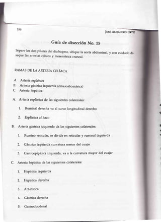 |osÉAle¡nNDRoOrr.z
Guía de disecciónNo. 15
B.
C.
A.
Separelos dos pilaresdel diafragma,ubiquela aortaabdominal,y con cuidadod-
sequelas arteriascelíacay mesentéricacraneal.
RAMAS DE LA ARTERTACELÍACA
A. Arteria esplénica
Arteria gástrica izquierda (omasoabomásica)
Arteria hepática
Arteria esplénicade las siguientescolaterales:
1. Ruminal derechava al surcolongitudinalderecho
2. Esplénicaal bazo
B. Arteria gástricaizquierdada las.siguientescolaterales:
1. Rumino reticula¡,se divide en reticular y ruminal izquierda
2. Gástricaizquierda curvatura menor del cuajar
3. Gastroepiploicaizquierda,va a la curvaturamayor del cuaiar
C. Arteria hepáticade las siguientescolaterales:
1. Hepáticaizquierda
2. Hepática derecha
3. Art-cística
4. Gástricaderecha
5. Gastroduodenal
{
I
I
!il
I
 