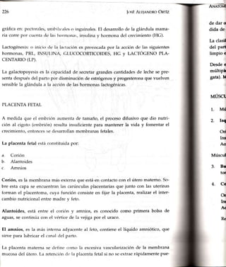 226 fnsli Ar,utnNDRoOnrfz
gráfica en: pectorales,utnt''ihc¿rlt:so inguinales. El desarrollo de la glándula malna-
ria corre por cuenta de las horm.onas;,insulina y hormona del crecimiento (HC).
Lactogénesis:o inicio de la lactación es provocada por la acción de las siguientes
hormonas, PRf., INSLJI.INA, GI,LICOCORTICOIDES, HG y LACTÓGENO PLA-
CENTARTO (LP).
La galactopoyesises la capacidadde secretargrandescantidadesde lechese pre-
sentadespuésdel parto por disminución de estrógenosy progesteronaque vuelven
sensiblela glándulaa la acciónde lashormonaslactogénicas.
PLACENTA FETAL
A medida que el embriírnaumentade tamaño,el procesodifusivo que dio nutri-
ción al cigoto (embrión)resultainsuficientepara mantenerla vida y fomentarel
crecimiento,cntonc€rsse dcsarrclllanmembranasfetales.
La placentafetal estác<lnstituidapor:
Corión
Alantoides
Amnios
Corión, es la membrana más externa que está.encontacto con el útero materno. So-
bre esta capa se encuentran las carúnculas placentarias que junto con las uterinas
forman el placentoma, cuya función consiste en fijar la placenta, realizar el inter-
cambio nutricional entre madre y feto.
Alantoides, está entre el corión y amnios, es conocido como primera bolsa de
aguas, se continúa cc,nel vrírtice de la vejiga por el uraco.
El amnios, es la más interna adyacente al feto, contiene el líquido amniótico, que
sirve para lubricar el canal del parto.
La placenta materna se deiine corno la excesiva vascularización cle la membrana
mucosa del útero" La retención de la placenta fetal si no se extrae rápidamente pue-
a.
b.
c-
de dar o
dida de
La clasif
del part
limpio e
Desde c
múltipk
gata).U
MÚSCI
Mú
2. Isq
Ori
Ins
Ao
MúscuI
Bu
tor
Co
Or
IrE
Ac
 