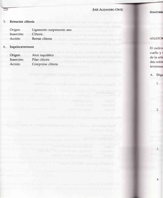 JosÉAr-E¡aNDRoOnrz
5. Retractorclítoris
Origen:
Inserción:
Acción:
6. Isquiocavernoso
Origen:
Inserción:
Acción:
Ligamentosuspensorioano
Clítoris
Retraeclítoris
Arco isquiático
Pilar clítoris
Comprimeclítoris
ANnroufu
ANATOh
El cadár
cuello y I
de la arti
descelón
levantan
1.
 