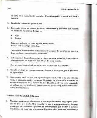 268
5.
6.
la carneen el momento del mercadeo.un mal sangradoocasiona
la came.
Desollado,consisteen quitar la piel.
Evicerado,retirar las víscerastorácicas,abdominalesy pelvianas.
de acuerdoa su color se dividen en:
mal color a
Las vísceras
Rojas
Blancas
Rojasson: pulm{in, c{rr.rzrin,hígado, bazo v rilion.
Blancasson: estóma¡loe intestino
Las víscerasdeben retirarseinmediatamente despuésdel sacrificio va que si se
deian producen contaminacitin en la carne.
7. Elaboraci(rnde la canal comercial; la cabezase retira a nivel de la articulación
atlantooccipital, los miembros por dc'bajocrertarso y carp().
Con un corte longitudinal mcr'liola canalse'clivicler,n d()scarcazas,
8. Orcado, se dejan las canalesen reposo rlurantc 6 horas para qu(¡ se pioduzca
el rigor mortis.
9. Maduración, es el período que sigue al rigor v cuando ta carnr, se pone más
tierna y adecuada para el consumo. El proceso de maduraciírn se reafuzacn
cuartos refrigeradosa 4.'Cdurante l0 c-lías.El cerclo.cordr.rov prollosu períotfur
de vida es muy crlrt., el tejidocontctivo rro h¡ envtjecidr)v por lo tanto no ne-
cesitade'maduración.
Aspectos sobre la calidad de la carne
1. Nutritivo, Para comercializar carne sc busca que.las canalestengan poca canti-
dad de grasa y sí mucha fibra muscular ya que la grasa predispone a las per-
sonas que las consumen a padecer do enfermedades que ¡fecta¡ el sisterna
circulatorio. La carne que se consuma debe tener fibra muscular abundante v
a.
b.
 