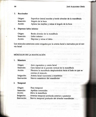 u JosÉAIE¡INDRoOnrfz
Superficielateral maxilar y borde alveolarde la mandíbula.
Ángulo de la boca.
Aplana las mejillasy retraeel ángulo de la boca
Arco cigomático y cresta facial
Cara lateral de la porción vertical de la mandíbula
Flexiona la mandíbula desplazándola hacia el lado en que se
contrae el músculo.
Arteria facial transversa y masetérica
Nervio masetérico del mandibular
Fosatemporal
Apófisis coronoides
Elevafa mandíbufa
Arterias temporal profunda anterior y posterior
Nervio temporal profundo del alveolarmandibular
6. Depresor labio inferior
Origen: Borde alveolarde la mandíbula
Inserción: Labio inferior
Acción: Deprime y retraeel labio.
Los músculosanterioresestánirrigadospor la arteriafaciale inervadospor el ner-
vio facial
l,TÚsCuToSDE LA MASTICACIÓN
5. Buccinador
Origen:
Inserción:
Acción:
Masetero
Origen:
Inserción:
Acción:
Irrigación:
Inervación:
Temporal
Origen:
Inserción:
Accíón:
Irrigación:
Inervación:
1.
2.
 