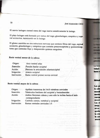 70
JosÉAt¿leNDRo
El nervio laríngeocranealrama del vago inerva sensitivamentela laringe.
El plejo faríngeo está formado
nal accesorios,terminando en
por ramas del vago, glosofaríngeo,simpático y es¡É
la faringe.
El glomo carotídeoes una estructuranerviosaque contienefibras del vago,espinal
accesorio,glosofaríngeoy simpático que contienepresorreceptoresy quimiorrec€p
tores que controlanflujo y composiciónquímicasanguínea.
Recto ventral menor de Ia cabeza
Origen:
Inserción:
Acción:
Irrigación:
Inervación:
Recto venhal mayor de la cabeza
Origen:
Inserción:
Acción:
Irrigación:
Inervación:
Arco ventral atlas
Porción basilar occipital
Flexionala articulaciónatlantaoccipital
Arteria occipital
Ramaventral primer nervio cervical
Apófisis transversade 3-4-5vértebrascervicales
Tubérculosbasilaresdel occipitaly basiesfenoides
Ambos flexionancabezay uno sólo la inclina haciael lado
correspondiente
Carótida común, vertebraly occipital
Ramasventralescervicales1-5
d¡d r
hrsla c
D¡Éiod
Ls pr
]r dr
n¡nd
nenlu
nEr¡-
fEr¡r¡
la= ot
oseF I
Í[r-6 |
qN¡ído
l¡ oct
h car
int€ri
 