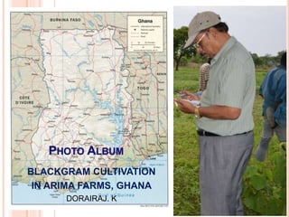 BLACKGRAM CULTIVATION
IN ARIMA FARMS, GHANA
DORAIRAJ. K
 