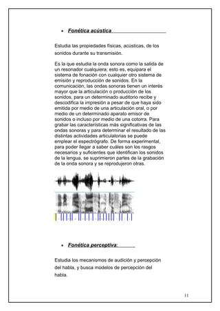 • Fonética acústica
Estudia las propiedades físicas, acústicas, de los
sonidos durante su transmisión.
Es la que estudia la onda sonora como la salida de
un resonador cualquiera; esto es, equipara el
sistema de fonación con cualquier otro sistema de
emisión y reproducción de sonidos. En la
comunicación, las ondas sonoras tienen un interés
mayor que la articulación o producción de los
sonidos, para un determinado auditorio recibe y
descodifica la impresión a pesar de que haya sido
emitida por medio de una articulación oral, o por
medio de un determinado aparato emisor de
sonidos o incluso por medio de una cotorra. Para
grabar las características más significativas de las
ondas sonoras y para determinar el resultado de las
distintas actividades articulatorias se puede
emplear el espectrógrafo. De forma experimental,
para poder llegar a saber cuáles son los rasgos
necesarios y suficientes que identifican los sonidos
de la lengua, se suprimieron partes de la grabación
de la onda sonora y se reprodujeron otras.
• Fonética perceptiva:
Estudia los mecanismos de audición y percepción
del habla, y busca modelos de percepción del
habla.
11
 