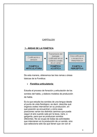 CAPITULOIV
1.- ÁREAS DE LA FONÉTICA
De esta manera, obtenemos las tres ramas o áreas
básicas de la Fonética:
• Fonética articulatoria:
Estudia el proceso de fonación y articulación de los
sonidos del habla, y elabora modelos de producción
de habla.
Es la que estudia los sonidos de una lengua desde
el punto de vista fisiológico; es decir, describe qué
órganos orales intervienen en su producción, en
qué posición se encuentran y cómo esas
posiciones varían los distintos caminos que puede
seguir el aire cuando sale por la boca, nariz, o
garganta, para que se produzcan sonidos
diferentes. No se ocupa de todas las actividades
que intervienen en la producción de un sonido, sino
que selecciona sólo las que tienen que ver con el
9
 