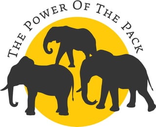 Power Pack Logo