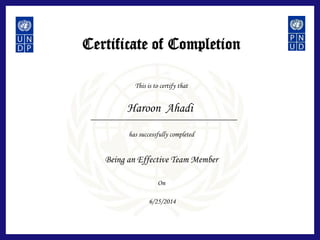 Effective Team Member | PDF