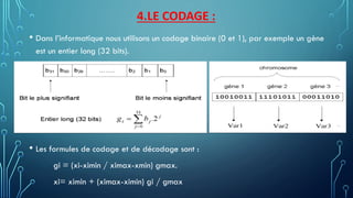 4.LE CODAGE :
• Dans l’informatique nous utilisons un codage binaire (0 et 1), par exemple un gène
est un entier long (32 bits).
• Les formules de codage et de décodage sont :
gi = (xi-ximin / ximax-xmin) gmax.
xi= ximin + (ximax-ximin) gi / gmax
 
