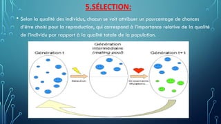 5.SÉLECTION:
• Selon la qualité des individus, chacun se voit attribuer un pourcentage de chances
d’être choisi pour la reproduction, qui correspond à l’importance relative de la qualité
de l’individu par rapport à la qualité totale de la population.
 