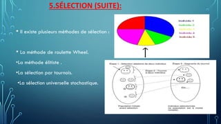 5.SÉLECTION (SUITE):
• Il existe plusieurs méthodes de sélection :
• La méthode de roulette Wheel.
•La méthode élitiste .
•La sélection par tournois.
•La sélection universelle stochastique.
 
