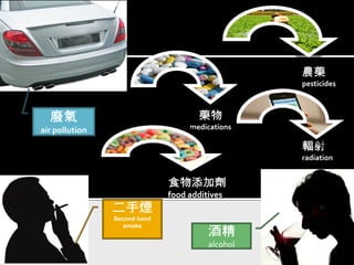 輻射
radiation
食物添加劑
food additives
農藥
pesticides
二手煙
Second hand
smoke
酒精
alcohol
廢氣
air pollution
藥物
medications
 