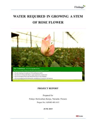 i
WATER REQUIRED IN GROWING A STEM
OF ROSE FLOWER
PROJECT REPORT
Prepared for
Finlays Horticulture Kenya, Naivasha Flowers
Project No.: KINR5-001-015
JUNE 2015
Our Commitment to a Sustainable Future:
We strive tomake Finlays an enjoyable andrewardingplace towork.
 By developingour employees’life andbusiness skills
 By demonstratingleadership in equal opportunityemployment
 By encouragingethnic andcultural diversityin the workplace
 By encouragingandfacilitatingthe contributionof womenin the business
Finlays is committed to a sustainable future, because there is no other future
 