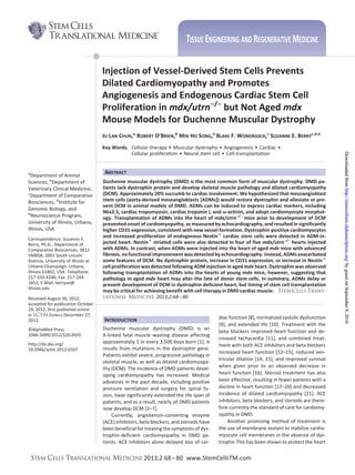 ®
Injection of Vessel-Derived Stem Cells Prevents
Dilated Cardiomyopathy and Promotes
Angiogenesis and Endogenous Cardiac Stem Cell
Proliferation in mdx/utrn−/−
but Not Aged mdx
Mouse Models for Duchenne Muscular Dystrophy
JU LAN CHUN,a
ROBERT O’BRIEN,b
MIN HO SONG,a
BLAKE F. WONDRASCH,c
SUZANNE E. BERRY
c,d,e
Key Words. Cellular therapy • Muscular dystrophy • Angiogenesis • Cardiac •
Cellular proliferation • Neural stem cell • Cell transplantation
a
Department of Animal
Sciences, b
Department of
Veterinary Clinical Medicine,
c
Department of Comparative
Biosciences, d
Institute for
Genomic Biology, and
e
Neuroscience Program,
University of Illinois, Urbana,
Illinois, USA
Correspondence: Suzanne E.
Berry, Ph.D., Department of
Comparative Biosciences, 3812
VMBSB, 2001 South Lincoln
Avenue, University of Illinois at
Urbana-Champaign, Urbana,
Illinois 61802, USA. Telephone:
217-333-4246; Fax: 217-244-
1652; E-Mail: berryse@
illinois.edu
Received August 30, 2012;
accepted for publication October
29, 2012; first published online
in SCTM EXPRESS December 27,
2012.
©AlphaMed Press
1066-5099/2012/$20.00/0
http://dx.doi.org/
10.5966/sctm.2012-0107
ABSTRACT
Duchenne muscular dystrophy (DMD) is the most common form of muscular dystrophy. DMD pa-
tients lack dystrophin protein and develop skeletal muscle pathology and dilated cardiomyopathy
(DCM). Approximately 20% succumb to cardiac involvement. We hypothesized that mesoangioblast
stem cells (aorta-derived mesoangioblasts [ADMs]) would restore dystrophin and alleviate or pre-
vent DCM in animal models of DMD. ADMs can be induced to express cardiac markers, including
Nkx2.5, cardiac tropomyosin, cardiac troponin I, and ␣-actinin, and adopt cardiomyocyte morphol-
ogy. Transplantation of ADMs into the heart of mdx/utrn−/−
mice prior to development of DCM
prevented onset of cardiomyopathy, as measured by echocardiography, and resulted in significantly
higher CD31 expression, consistent with new vessel formation. Dystrophin-positive cardiomyocytes
and increased proliferation of endogenous Nestin؉
cardiac stem cells were detected in ADM-in-
jected heart. Nestin؉
striated cells were also detected in four of five mdx/utrn−/−
hearts injected
with ADMs. In contrast, when ADMs were injected into the heart of aged mdx mice with advanced
fibrosis, no functional improvement was detected by echocardiography. Instead, ADMs exacerbated
some features of DCM. No dystrophin protein, increase in CD31 expression, or increase in Nestin؉
cell proliferation was detected following ADM injection in aged mdx heart. Dystrophin was observed
following transplantation of ADMs into the hearts of young mdx mice, however, suggesting that
pathology in aged mdx heart may alter the fate of donor stem cells. In summary, ADMs delay or
prevent development of DCM in dystrophin-deficient heart, but timing of stem cell transplantation
may be critical for achieving benefit with cell therapy in DMD cardiac muscle. STEM CELLS TRANS-
LATIONAL MEDICINE 2013;2:68–80
INTRODUCTION
Duchenne muscular dystrophy (DMD) is an
X-linked fatal muscle wasting disease affecting
approximately 1 in every 3,500 boys born [1]; it
results from mutations in the dystrophin gene.
Patients exhibit severe, progressive pathology in
skeletal muscle, as well as dilated cardiomyopa-
thy (DCM). The incidence of DMD patients devel-
oping cardiomyopathy has increased. Medical
advances in the past decade, including positive
pressure ventilation and surgery for spinal fu-
sion, have significantly extended the life span of
patients, and as a result, nearly all DMD patients
now develop DCM [2–7].
Currently, angiotensin-converting enzyme
(ACE) inhibitors, beta blockers, and steroids have
been beneficial for treating the symptoms of dys-
trophin-deficient cardiomyopathy in DMD pa-
tients. ACE inhibitors alone delayed loss of car-
diac function [8], normalized systolic dysfunction
[9], and extended life [10]. Treatment with the
beta blockers improved heart function and de-
creased tachycardia [11], and combined treat-
ment with both ACE inhibitors and beta blockers
increased heart function [12–15], reduced ven-
tricular dilation [14, 15], and improved survival
when given prior to an observed decrease in
heart function [16]. Steroid treatment has also
been effective, resulting in fewer patients with a
decline in heart function [17–20] and decreased
incidence of dilated cardiomyopathy [21]. ACE
inhibitors, beta blockers, and steroids are there-
fore currently the standard of care for cardiomy-
opathy in DMD.
Another promising method of treatment is
the use of membrane sealant to stabilize cardio-
myocyte cell membranes in the absence of dys-
trophin This has been shown to protect the heart
TISSUE ENGINEERING AND REGENERATIVE MEDICINE
STEM CELLS TRANSLATIONAL MEDICINE 2013;2:68–80 www.StemCellsTM.com
byguestonSeptember9,2016http://stemcellstm.alphamedpress.org/DownloadedfrombyguestonSeptember9,2016http://stemcellstm.alphamedpress.org/DownloadedfrombyguestonSeptember9,2016http://stemcellstm.alphamedpress.org/Downloadedfrom
 