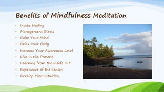 Benefits of Mindfulness Meditation
• Invoke Healing
• Management Stress
• Calm Your Mind
• Relax Your Body
• Increase Your Awareness Level
• Live In the Present
• Learning from the inside out
• Experience of the Senses
• Develop Your Intuition
 