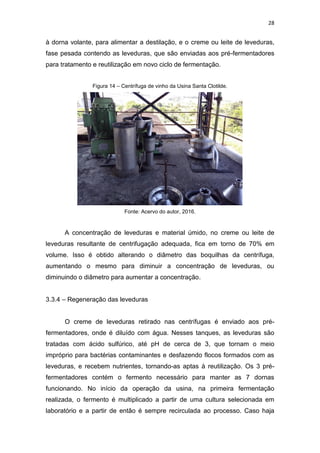 28
à dorna volante, para alimentar a destilação, e o creme ou leite de leveduras,
fase pesada contendo as leveduras, que são enviadas aos pré-fermentadores
para tratamento e reutilização em novo ciclo de fermentação.
Figura 14 – Centrífuga de vinho da Usina Santa Clotilde.
Fonte: Acervo do autor, 2016.
A concentração de leveduras e material úmido, no creme ou leite de
leveduras resultante de centrifugação adequada, fica em torno de 70% em
volume. Isso é obtido alterando o diâmetro das boquilhas da centrífuga,
aumentando o mesmo para diminuir a concentração de leveduras, ou
diminuindo o diâmetro para aumentar a concentração.
3.3.4 – Regeneração das leveduras
O creme de leveduras retirado nas centrífugas é enviado aos pré-
fermentadores, onde é diluído com água. Nesses tanques, as leveduras são
tratadas com ácido sulfúrico, até pH de cerca de 3, que tornam o meio
impróprio para bactérias contaminantes e desfazendo flocos formados com as
leveduras, e recebem nutrientes, tornando-as aptas à reutilização. Os 3 pré-
fermentadores contém o fermento necessário para manter as 7 dornas
funcionando. No início da operação da usina, na primeira fermentação
realizada, o fermento é multiplicado a partir de uma cultura selecionada em
laboratório e a partir de então é sempre recirculada ao processo. Caso haja
 