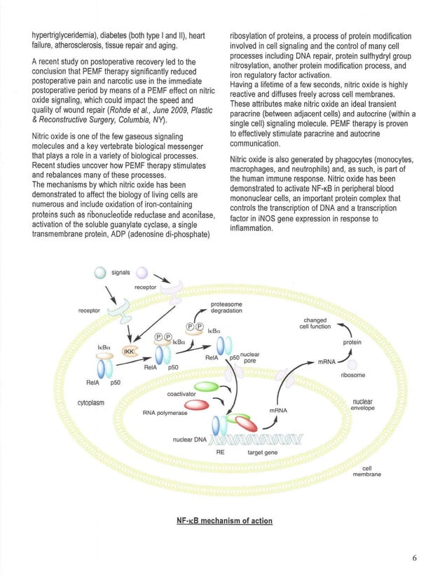Benefits of highpowered PEMF explained PDF