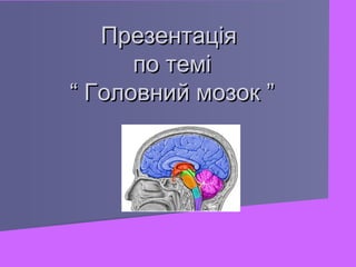 Презентація
по темі
“ Головний мозок ”

 