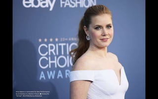 Amy Adams is nominated for Best Performance
by an Actress in a Motion Picture � Drama for
"Arrival". REUTERS/Danny Moloshok
 