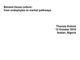 Banana tissue culture:
from endophytes to market pathways




                                     Thomas Dubois
                                     12 October 2010
                                      Ibadan, Nigeria
 