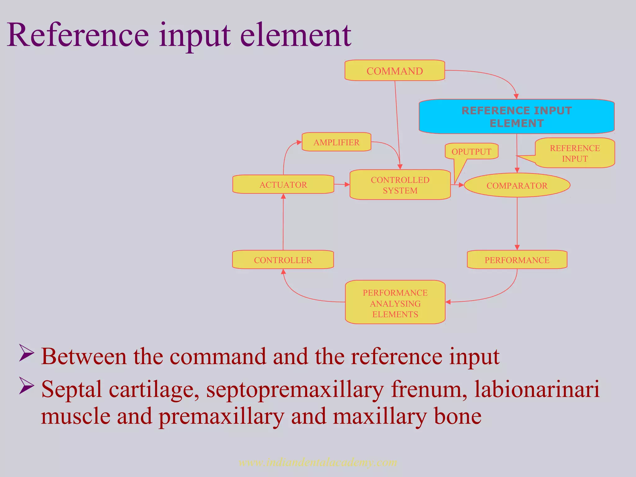 Reference input element
 Between the command and the reference input
 Septal cartilage, septopremaxillary frenum, labionarinari
muscle and premaxillary and maxillary bone
REFERENCE INPUT
ELEMENT
COMPARATOR
COMMAND
PERFORMANCE
ANALYSING
ELEMENTS
CONTROLLED
SYSTEM
CONTROLLER
ACTUATOR
PERFORMANCE
AMPLIFIER
REFERENCE
INPUT
OPUTPUT
www.indiandentalacademy.com
 