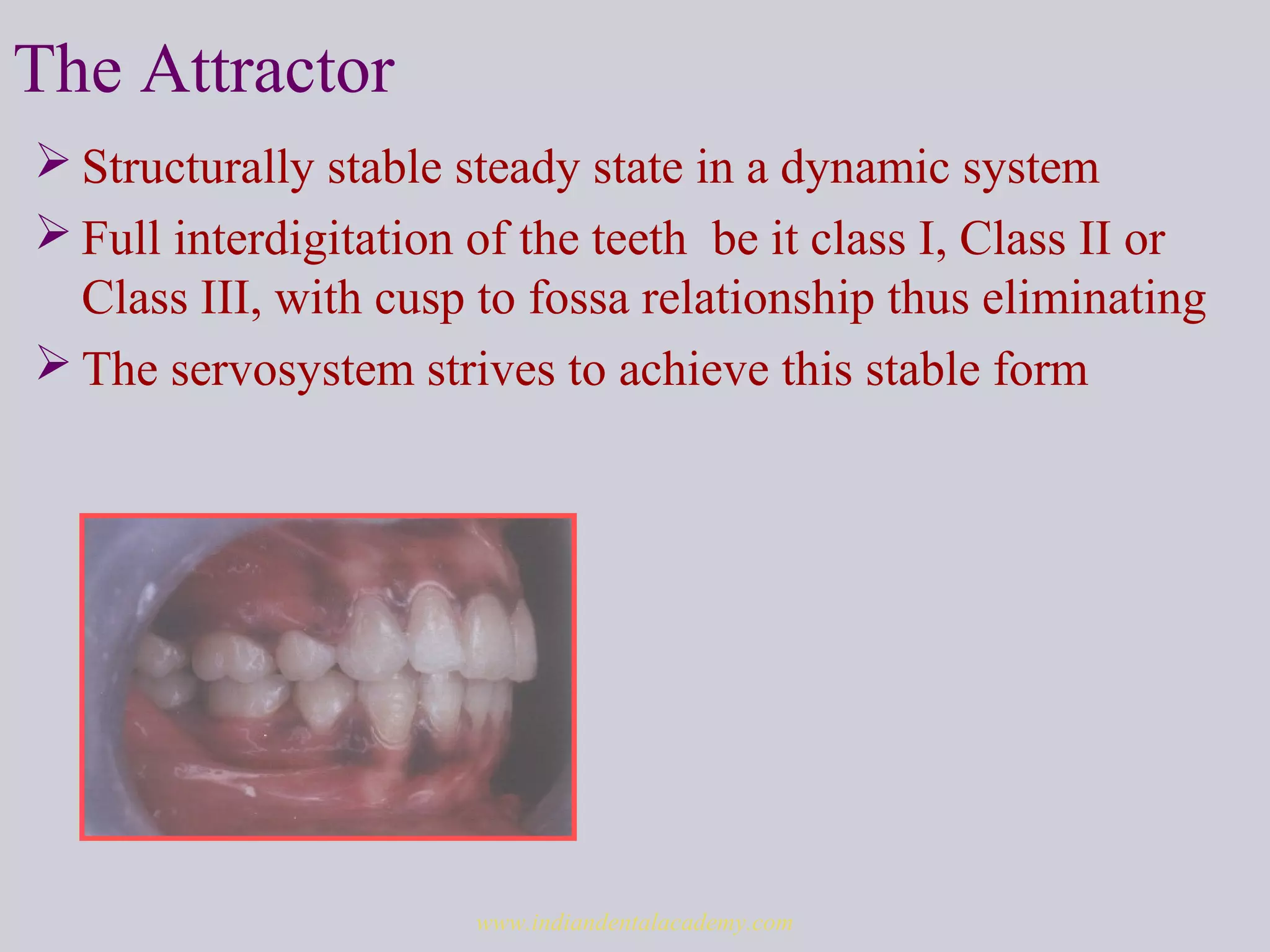 The Attractor
 Structurally stable steady state in a dynamic system
 Full interdigitation of the teeth be it class I, Class II or
Class III, with cusp to fossa relationship thus eliminating
 The servosystem strives to achieve this stable form
www.indiandentalacademy.com
 