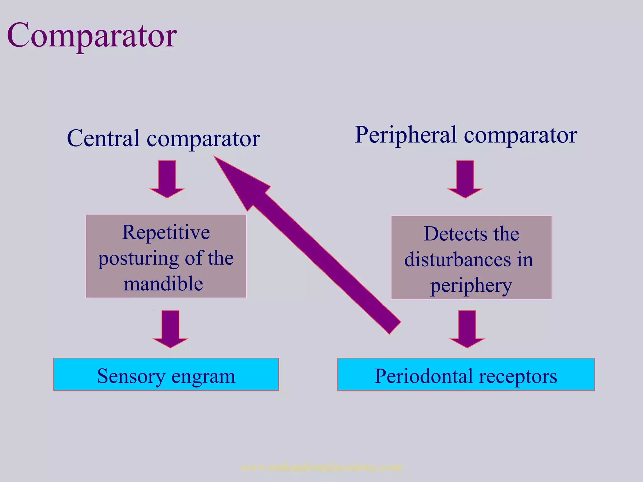 Comparator
Central comparator Peripheral comparator
Detects the
disturbances in
periphery
Periodontal receptors
Repetitive
posturing of the
mandible
Sensory engram
www.indiandentalacademy.com
 