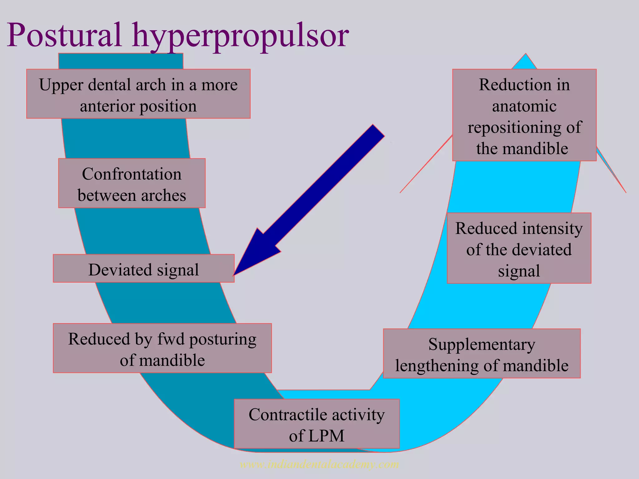 Postural hyperpropulsor
Upper dental arch in a more
anterior position
Confrontation
between arches
Supplementary
lengthening of mandible
Contractile activity
of LPM
Reduced by fwd posturing
of mandible
Deviated signal
Reduced intensity
of the deviated
signal
Reduction in
anatomic
repositioning of
the mandible
www.indiandentalacademy.com
 