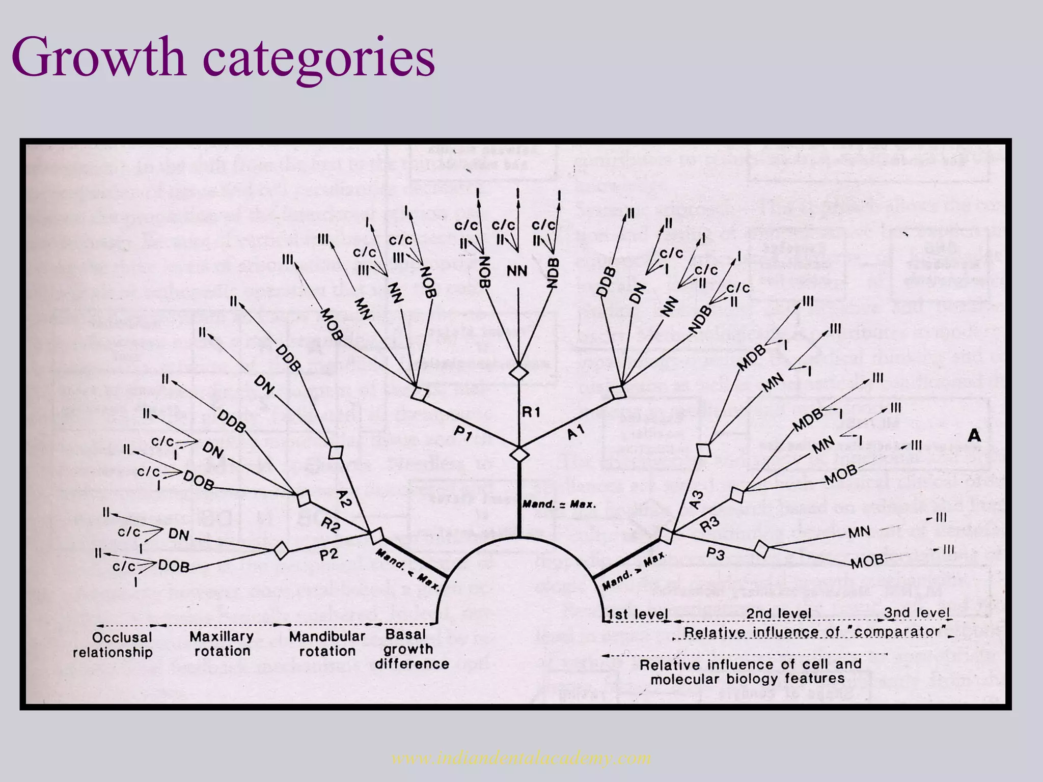Growth categories
www.indiandentalacademy.com
 