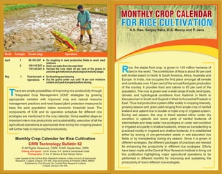 CRRI Technology Bulletin 62
© All Rights Reserved, CRRI, ICAR, September, 2009
Editing and layout :
Photography:
G.A.K. Kumar, S.K. Sinha & Sandhyarani Dalal
P. Kar, B. Behera & Dipti Ranjan Sahoo
Laser typeset at the Central Rice Research Institute, Indian Council of Agricultural
Research, Cuttack (Orissa) 753 006, India and printed at Printech Offset, BBSR.
Published by The Director, for Central Rice Research Institute
Cuttack (Orissa) 753 006.
Monthly Crop Calendar for Rice Cultivation
Rice, the staple food crop, is grown in 148 million hectares of
land in the world. The contribution of Asia is about 90 per cent
with limited extent in North & South America, Africa, Australia and
Europe. In India, rice occupies the first place amongst all cereals
and contributes over 43 per cent of the annual food grain production
of the country. It provides food and calorie to 65 per cent of the
population. The crop is grown over a wide range of soils, land types,
climatic and hydrological conditions from Kashmir in North to
Kanyakumari in South and Gujarat in West toArunachal Pradesh in
East. Thus rice production system differ widely in cropping intensity,
growing season and grain yield ranging from single crop of rainfed
lowland and upland rice to double or triple crop in irrigated system.
During wet season, the crop is direct seeded either under dry
condition in uplands and some parts of rainfed lowlands of
intermediate and deep water rice ecologies or under wet condition
in irrigated and partly in shallow lowlands, where as transplanting is
practiced mostly in irrigated and shallow lowlands. It is established
either by sowing of pre-germinated seeds in wet saturated rice
fields or by transplanting during dry season. Since it is grown in
different ecologies, the different packages of practices are needed
for enhancing the productivity in different rice ecologies. Efforts
have been made at the Central Rice Research Institute to bring out
this publication highlighting major agricultural operations to be
performed in different months for improving and sustaining the
productivity of rice in different rice ecologies.
K.S. Rao, Sanjoy Saha, D.S. Meena and P. Jana
There are ample possibilities of improving rice productivity through
'Integrated Crop Management (ICM)' strategies by growing
appropriate varieties with improved crop and natural resource
management practices and need based plant protection measures to
keep the pest population below economic threshold level. The
components of ICM and its operation schedule for different rice
ecologies are mentioned in the crop calendar. Since weather plays an
important role in rice productivity and sustainability, execution of all the
agricultural operations at appropriate time during the cropping season
will further help in improving the productivity.
April 1 90-100 DAT
2 100-110 DAT
110-120 DAT
l Do roughing in seed production fields to avoid seed
mixtures
l Drainoutwaterfromthemainfield
l Harvest the crop when 80 per cent of the grains in
paniclesgotmatured(atphysiologicalmaturitystage)
May 1 Post-harvest
Operations
l Dothreshingandcleaning
l Dry the grains under sun until 14 per cent moisture
contentandpackitproperlybeforestoring
Month Fortnight Growth stage Operations
 