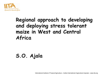 Regional approach to developing
and deploying stress tolerant
maize in West and Central
Africa


S.O. Ajala


       International Institute of Tropical Agriculture – Institut international d’agriculture tropicale – www.iita.org
 