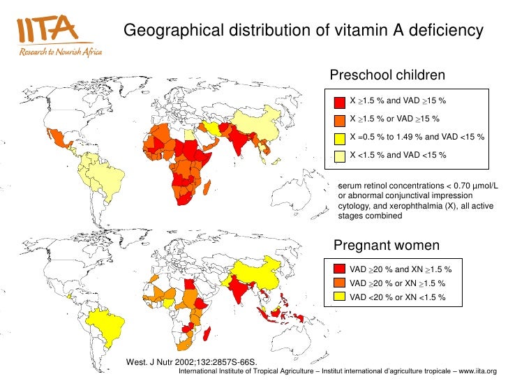 Food Diversification And Income Generation The Role Of A