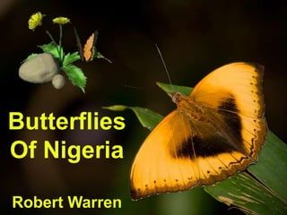 Butterflies
Of Nigeria

Robert Warren
 
